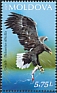 White-tailed Eagle Haliaeetus albicilla  2021 Prutul de Jos 