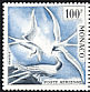 Roseate Tern Sterna dougallii  1955 Marine birds p 11