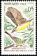 Western Yellow Wagtail Motacilla flava  1962 Birds 