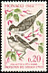 Eurasian Blackcap Sylvia atricapilla  1962 Birds 