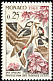 Great Spotted Woodpecker Dendrocopos major  1962 Birds 