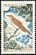 Common Nightingale Luscinia megarhynchos  1962 Birds 
