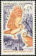 Western Barn Owl Tyto alba  1962 Birds 