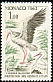 White Stork Ciconia ciconia  1962 Birds 