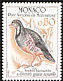 Rock Partridge Alectoris graeca  1982 Birds from Mercantour national park 