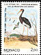 Abdim's Stork Ciconia abdimii  1991 International symposium on bird migration 