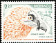 Bearded Vulture Gypaetus barbatus  1992 Mercantour national park 