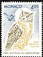 Eurasian Eagle-Owl Bubo bubo  1993 Birds of prey in Mercantour national park 