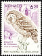 Boreal Owl Aegolius funereus