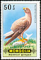 White-tailed Eagle Haliaeetus albicilla  1970 Birds of prey 
