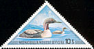 Black-throated Loon Gavia arctica  1973 Aquatic birds 