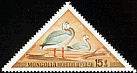Bar-headed Goose Anser indicus  1973 Aquatic birds 