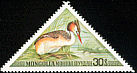 Great Crested Grebe Podiceps cristatus  1973 Aquatic birds 