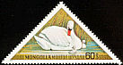 Mute Swan Cygnus olor  1973 Aquatic birds 