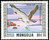 Western Osprey Pandion haliaetus  1976 Protected birds 