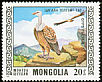 Griffon Vulture Gyps fulvus  1976 Protected birds 
