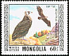 Cinereous Vulture Aegypius monachus  1976 Protected birds 