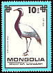 Demoiselle Crane Grus virgo