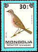 Barred Warbler Curruca nisoria  1979 Protected birds 