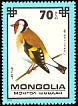 European Goldfinch Carduelis carduelis  1979 Protected birds 