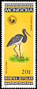 Black Stork Ciconia nigra