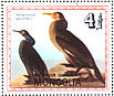 Brandt's Cormorant Urile penicillatus  1985 Birds  MS