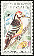 White-backed Woodpecker Dendrocopos leucotos  1987 Woodpeckers 