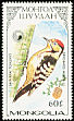 Lesser Spotted Woodpecker Dryobates minor  1987 Woodpeckers 