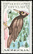 Black Woodpecker Dryocopus martius  1987 Woodpeckers 