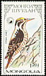 Eurasian Three-toed Woodpecker Picoides tridactylus  1987 Woodpeckers 
