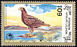 White-tailed Eagle Haliaeetus albicilla  1988 White-tailed Sea Eagle 