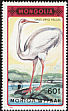 White-naped Crane Antigone vipio  1990 Japanese White-necked Crane 