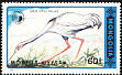 White-naped Crane Antigone vipio