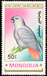 Grey Parrot Psittacus erithacus  1990 Parrots 