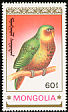 Kakapo Strigops habroptila  1990 Parrots 