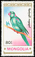 Alexandrine Parakeet Psittacula eupatria  1990 Parrots 