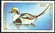 Long-tailed Duck Clangula hyemalis  1991 Birds 
