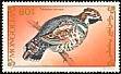 Hazel Grouse Tetrastes bonasia  1991 Birds 