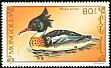 Red-breasted Merganser Mergus serrator  1991 Birds 