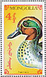 Eurasian Teal Anas crecca