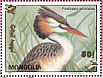 Great Crested Grebe Podiceps cristatus  1993 Birds  MS MS