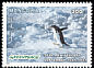Adelie Penguin Pygoscelis adeliae  1997 Greenpeace 