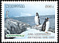 Gentoo Penguin Pygoscelis papua  1997 Greenpeace 