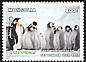 Emperor Penguin Aptenodytes forsteri  1997 Greenpeace 