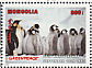 Emperor Penguin Aptenodytes forsteri