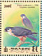 Eurasian Hobby Falco subbuteo  1999 Falcons Sheet