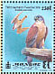 Lesser Kestrel Falco naumanni  1999 Falcons Sheet