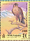 Barbary Falcon Falco pelegrinoides  1999 Falcons Sheet