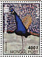 Indian Peafowl Pavo cristatus  2000 Millennium, Charles Darwin 17v sheet