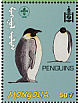 Emperor Penguin Aptenodytes forsteri